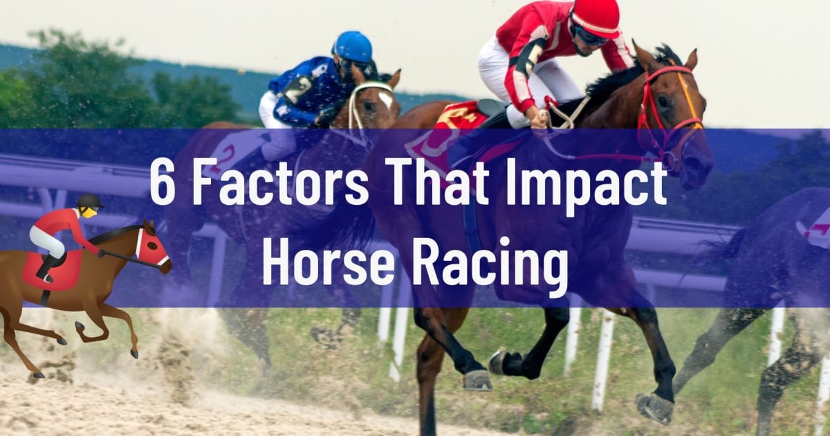 6 Factors That Impact Horse Racing